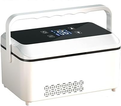 Portable Travel Cooler Box with LED Display, Constant Temperature Storage Case, USB & Car Power, Outdoor & Home Use Dual Layer No Battery