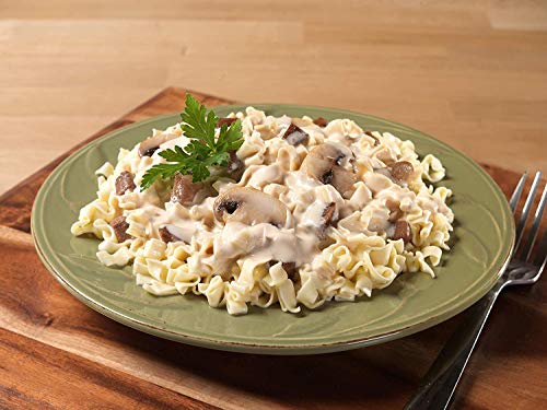 Mountain House Freeze Dried Beef Stroganoff #10 Can Camping, Hunting, Backpacking Food Backed by a 30-Year Taste Guarantee Survival and Emergency Food Quick & Easy Prep Gluten Free 6 Cans
