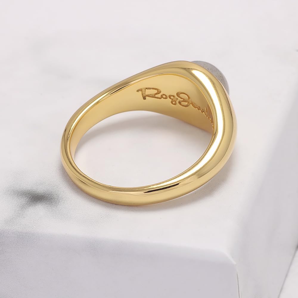 925 Sterling Silver Labradorite Signet Ring, 18K Gold Plated, Round Stone, Minimalist Dainty Valentine's Day Jewelry Gift for Him or Her