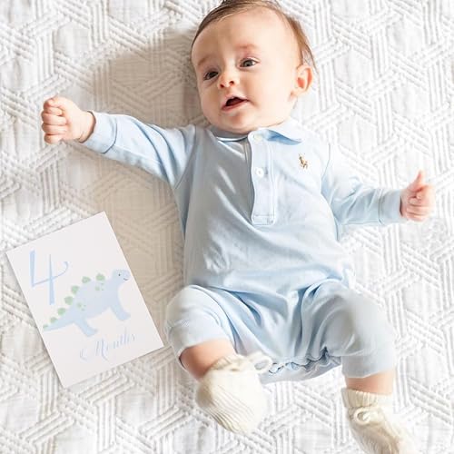 Baby First Holiday Cards - First Year Cards,Monthly Milestone Baby Shower,Milestone Monthly Holiday Photo,Photo Props (blue)