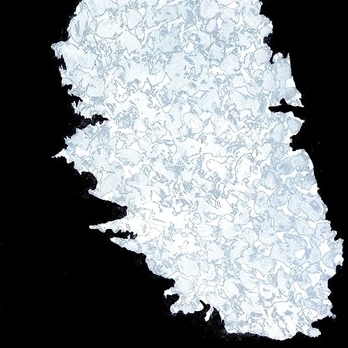 06 Sem t&iacute;tulo - 2002 - Gravura em metal - Cole&ccedil;&atilde;o da artista