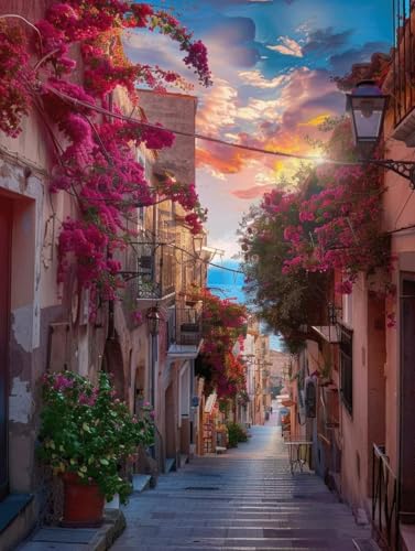 Diamond Painting Adulte Rue Paysage Broderie Diamant 60x80cm