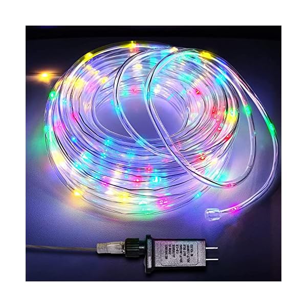 Singchungte 66ft rope light