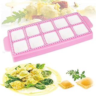BUENTYA Mould for Square Ravioli, Ravioli Mould Tray 10 Grids Square Italian Ravioli Mould Ravioli Dumpling Maker Set for Ravioli, Tortelli, Pie, Dumplings, Pasta or Cookies (26.5*10.5*2cm)