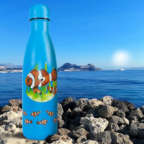 NatureVac, Clown Fish 500ml Insulated Water Bottle from Deluxebase. Blue Stainless Steel Thermal Flask for Gym Office, Travel - Image 4