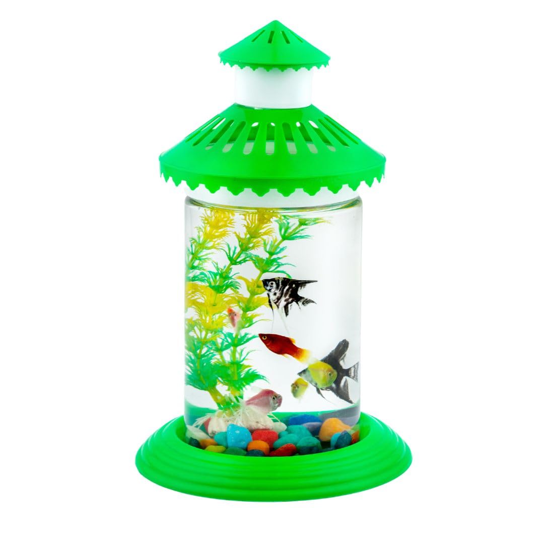 Aquarium Bowl Cylinder | for Home | Office | Long Lasting | Un Breakable | Plastic | | Easy to Handle| Crystal Clear (Green, 2L) (B0DG5RSSCM) Amazon Price History, Amazon Price Tracker