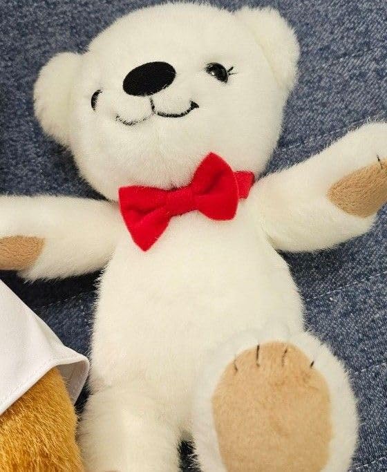 Amazon.co.jp: ぽすくま＆ぽすこぐまのぬいぐるみ タオルセット10周年 