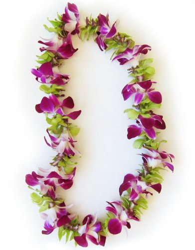 Hawaiian Lei - Fresh Single Strand Orchid Lei - Purple and Green