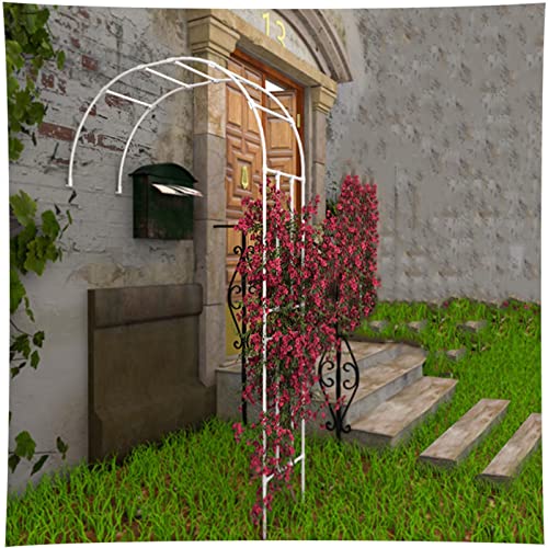 EONME Arco de Jardín Semicircular, Arco para Rosas Resistente a La Intemperie Plantas de Arco Metal Pulverisado para Patio De Césped Al Aire Libre Decoracion 120x240x40cm 150x240x40cm 180x240x40cm Cover