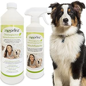 zooprinz Geruchsentferner Konzentrat