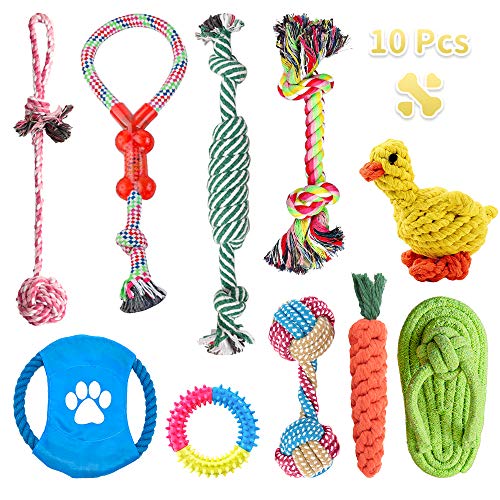 BaiYi Hundespielzeug Set,Hundeseile, interaktives Spielzeug,Pet Rope Spielzeug, Form, geeignet für kleine und mittelgroße Hunde (10 Stück)