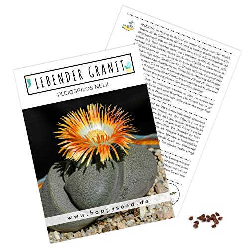 Alto cermi – ci impegniamo a semi, relativamente spesso germinanti. Con una corretta applicazione e un clima uniforme (20-25 °C), a seconda della varietà possono presentare le prime piantine già dopo 1-3 settimane.