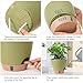 WEICHENGXING Plant Pots,12/10/9/8/ Inch Large Plastic Self Watering Flower Pots Indoor Outdoor with Drainage Holes, Deep Reservoir,Nursery Planting Pot for Indoor Out Door Plants