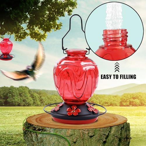 Image of 2 Pack Glass Hummingbird Feeder for Outdoors Hanging, 24Ozs Humming Bird Nectar Feeder w /Perch, 5 Flower Feeding Ports, Leak Proof Base and Hook for Outside Garden Backyard Decor, Red