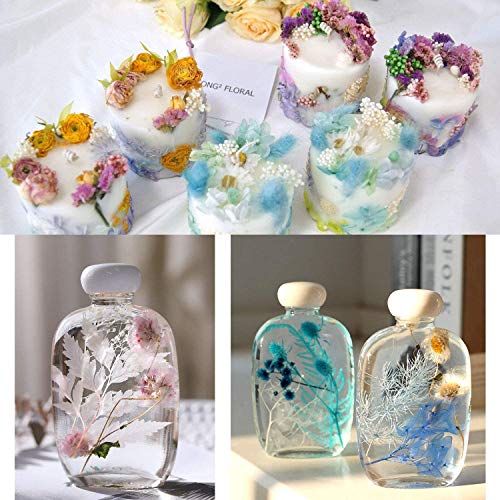 Shiwaki Kunstbloemen Simulatie Bloemen Doos Bewaarde Gedroogde Bloem Plant DIY Kaars Hars Sieraden Maken Craft Decor… - Afbeelding 6
