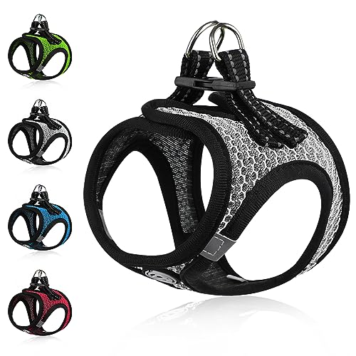 Unleash the Cutness Discover the Top 10 Yorkie Harnesses of the Year