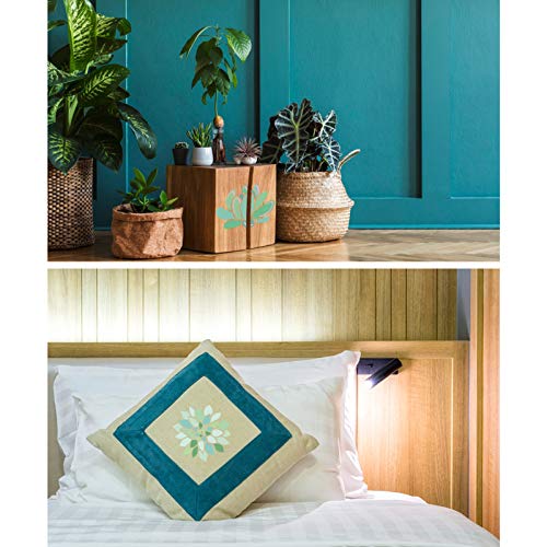 Stencil di piante succulente, 8 confezioni Piante