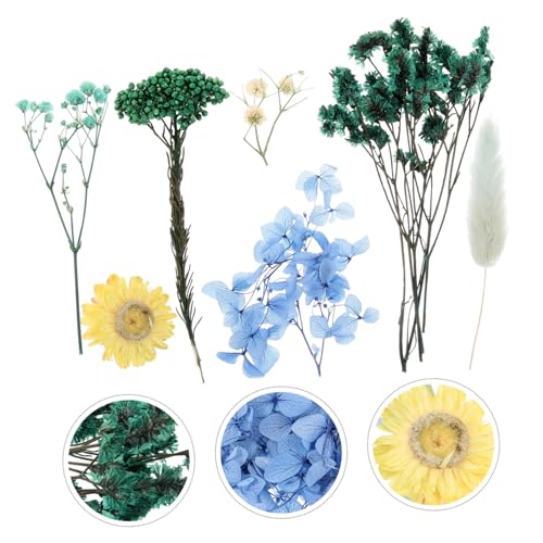 Flores Secas Prensadas para Manualidades IWOWHERO miniatura 2
