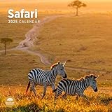 2025 Safari Monthly Wall Calendar by Bright Day, 12 x 12 Inch Beautiful Landscape Photography Gift
