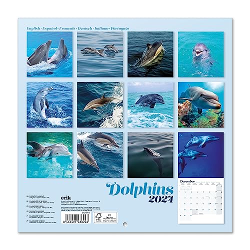 Grupo Erik Dolphins Wall Calendar 2024 12" x 12" - Image 2