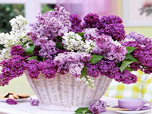 Peinture au diamant 5D anti-stress kit art diamant corbeille fleurs