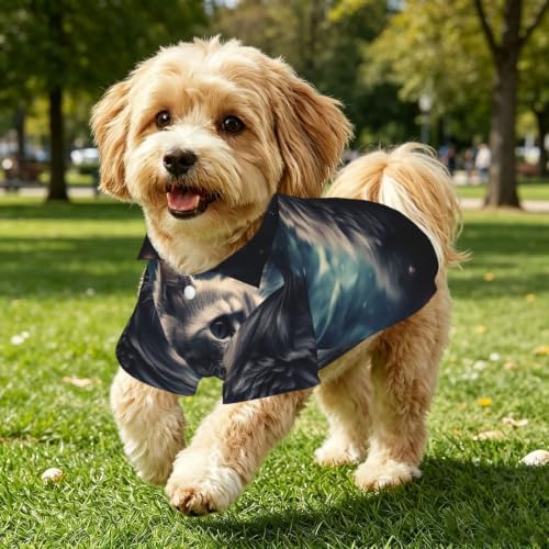 A cat in a Nebula Dog Shirt Breathable Dog Summer Clothes - 3