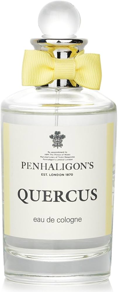 516C4y1oCVL._AC_UF894,