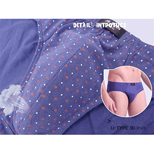 Slip homme lot de 5 en coton confortable imprimé multicolore - 5
