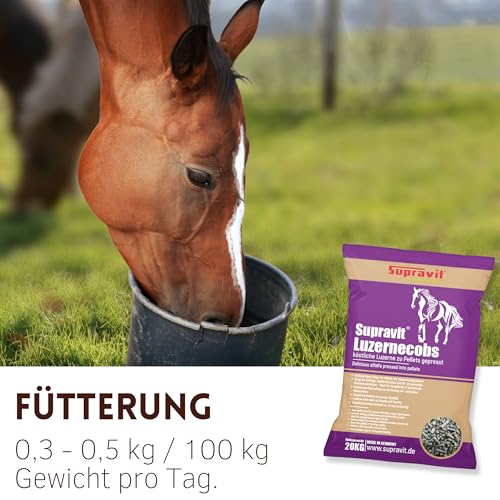 Supravit Luzernecobs 20kg - energiereiches Pferdefutter I Luzernepellets mit hohem Anteil an Carotin I liefert wichtige Mineralien für alle Pferde