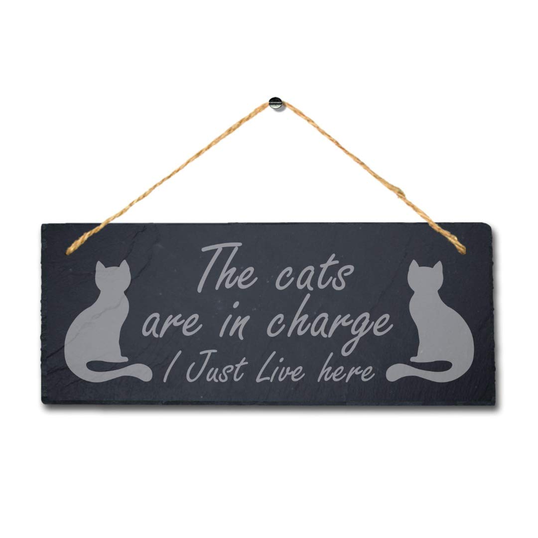 Stukk Dogs Pet Funny Laser Hanging Kitten Pup Puppy Home (Cats are in Charge), Natural Engraved Slate Stone Plaque, 30x12cm (Large) - Image 3