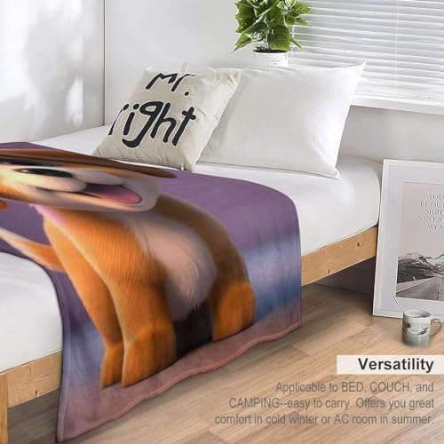 Plaid jeté canapé flanelle premium à impression numérique 3D