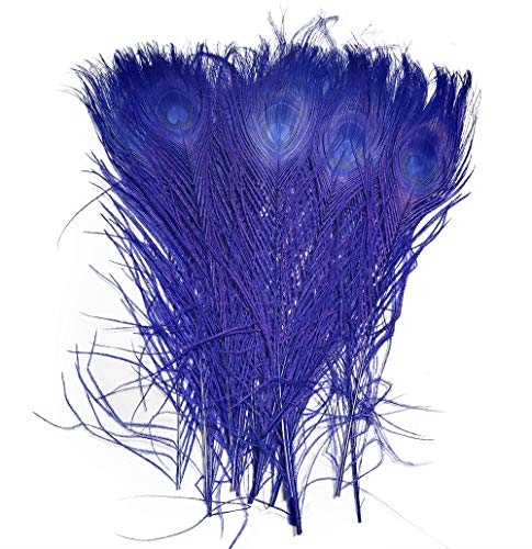 wanjin Peacock feathers 60 Pcs Dyeing feather Long pole 28-30 inches（Natural）