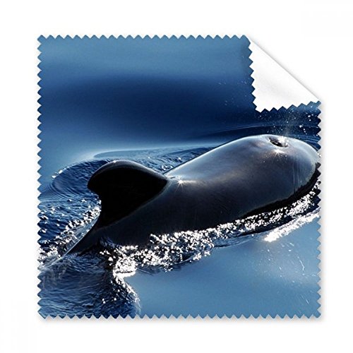 Chiffon microfibre baleine pour lunettes et écrans de téléphone DIYthinker (Lot de 5)