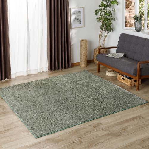 �J�C���Y(CAINZ) �􂦂�V���M�[���O ��185cm ���s185cm �O���[�� ��Pet �y�b�g�̒܂��|����ɂ��� ���ۖh�L �􂦂� ���ׂ�~�߉��H ���g�[�Ή� �J�[�y�b�g �y�b�g�}�b�g