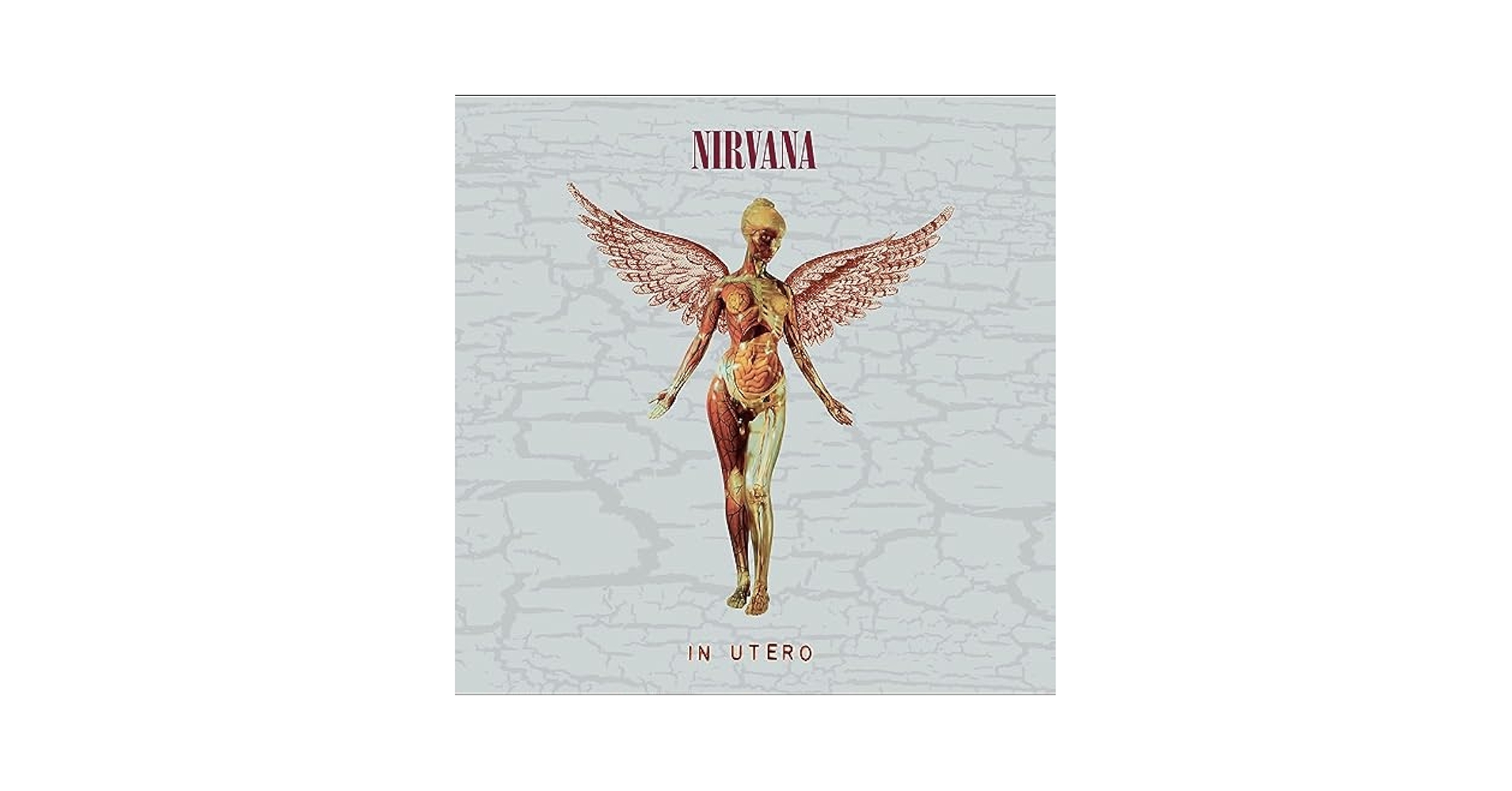 アート・デザイン・音楽 NIRVANA 30TH ANNIVERSARY EDITION アート・デザイン・音楽 NIRVANA 30TH ANNIVERSARY EDITION