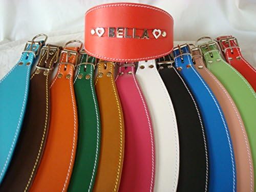 GREYHOUND Personalised Leather Dog Collar (neck size 32cm - 43cm) (Black) See our other listings for XSmall, Small, Medium, Large and XLarge collars