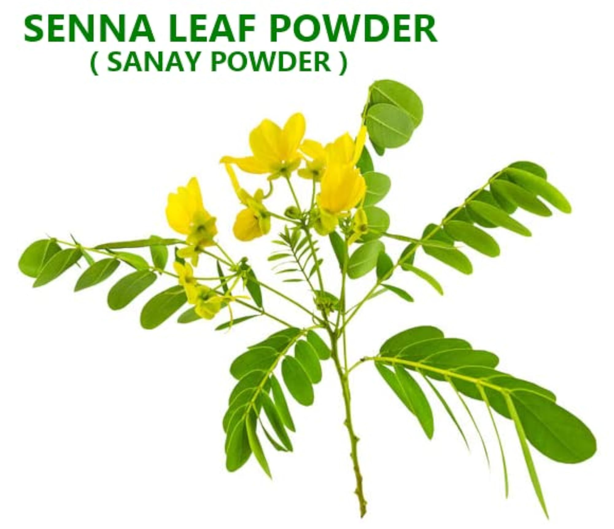 Senna Powder (Sanay Leaves) 100 GM