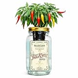 Braggable Gardens Mason Jar Hydroponic Thai Chili Pepper Grow Kit – Indoor Countertop Garden – Grow Fresh Spicy Peppers at Home – Self Watering Jar Planter with Nutrients & Seeds