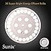 Sunix Solar Flag Pole Lights 30 LED, IP65 Weatherproof Flagpole Downlight with 11 Pcs Big Solar Panel for 15 to 25 Ft, Auto On/Off Night Lighting