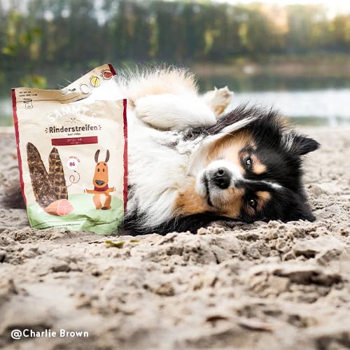 Sammy´s Rinderstreifen | Rindfleisch | Fleischiger Snack für Hunde | Getreidefrei| Single Animal Protein | ohne Zucker ohne Geschmacksverstärker 1 x 190g