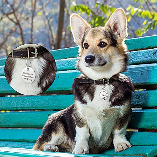 Didog - Etichette per animali da compagnia incise