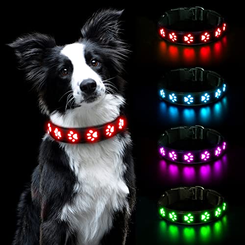 AUAUY Collare per cani con luce LED, ricaricabile tramite USB, impermeabile, lampeggiante in pelle PVC, regolabile, luminoso, per cani di taglia piccola, media e grande (rosso, M)