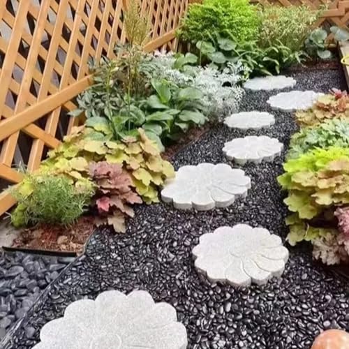 Image of FANTIAN 10 lbs Small Black Pebbles for Indoor Plants. 3 /8 inch Decorative Black River Rocks for Succulent Potted Plant, Vase, Landscaping and Outdoor Garden Rocks