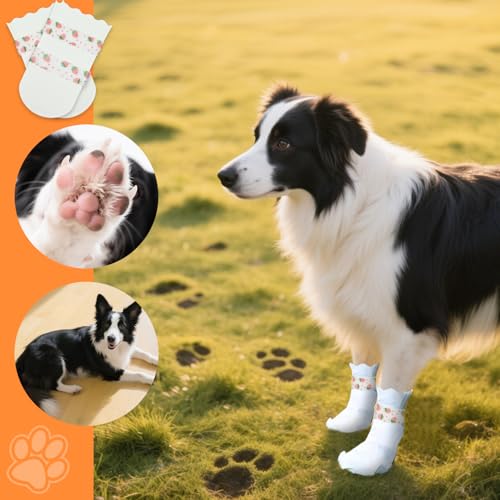 20 Stück Einweg-Hundestiefel | Hundesocken, damit die Pfoten Nicht mehr lecken | wasserdichte Hundeschuhe für verletzte Pfoten mit für Spaziergänge im Innen- und Außenbereich (L (17–30 kg))