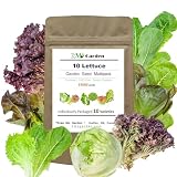 Lettuce Seed Collection 10 Varieties Pack (13,000+ Seeds)
