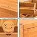 MonsterStash Box Large Storage Humidor – Handmade Premium Bamboo | Includes Smell Proof Jar, Removable Tray, Lockable Design | Organize with Style