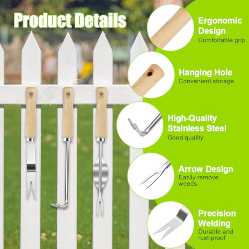 Adiwo 4 Piezas Desherbador Manual, Herramientas de Deshierbe, Acero Inoxidable, Kit Jardinería, Desherbador de Raíces, Mango de Madera, Mango Ergonómico, para Excavar Deshierbar Trasplantar - imagen 3
