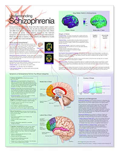 Understanding Schizophrenia Anatomical Chart
