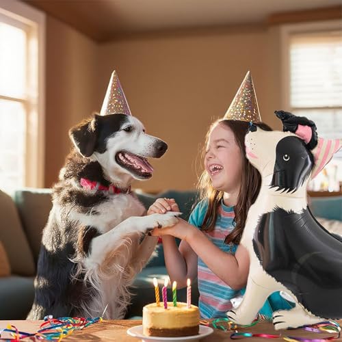 Gleemix Border Collie Luftballon, XXL Hunde Folienballon, 3D Tiere Geburtstag Deko, Hunde Deko Kindergeburtstag für Jungen, Mädchen, Hund Geburtstag, Babyparty