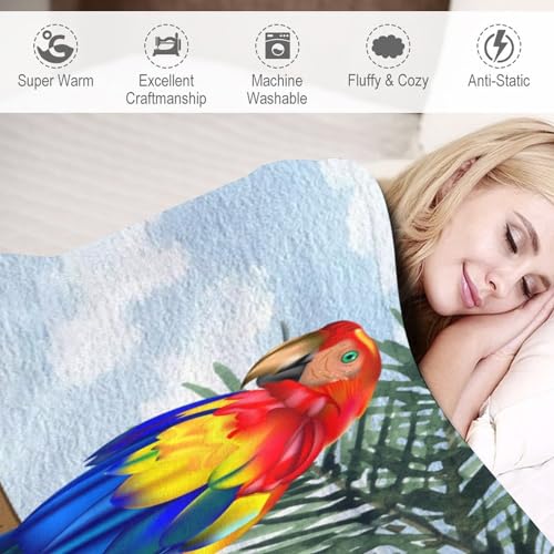 Couverture perroquet légère contre les nuits fraîches d'été au lit